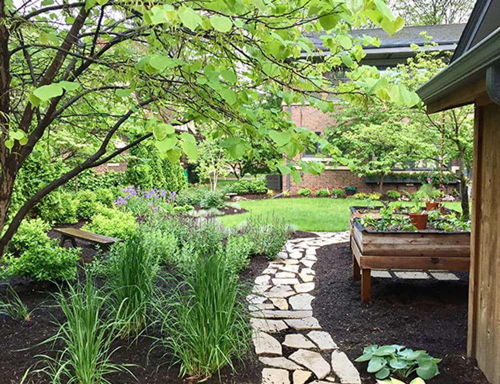 Lush garden with stone pathway, raised vegetable bed, and vibrant greenery under trees.