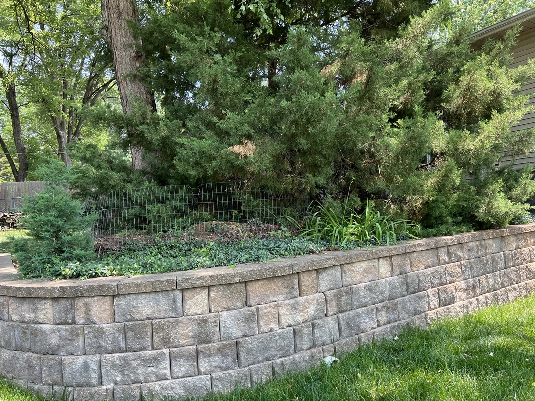 sg-host-Retaining-Walls-blue-springs-2 sg host Retaining Walls blue springs 2 - LMD Solutions