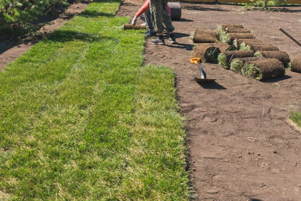 LMD solutions sod installation lee s summit mo - LMD Solutions Smart Sod Installation Help For Lee’s Summit Clay-Heavy Lawns