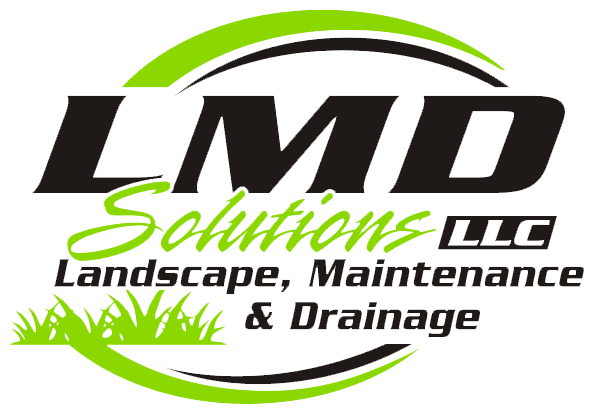 LMD Solutions Logo
